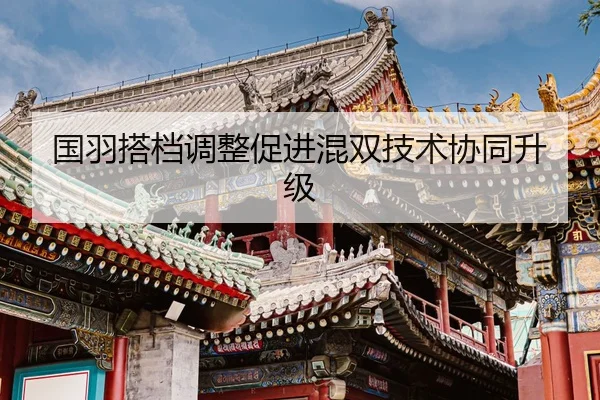 国羽搭档调整促进混双技术协同升级 | JiuYou